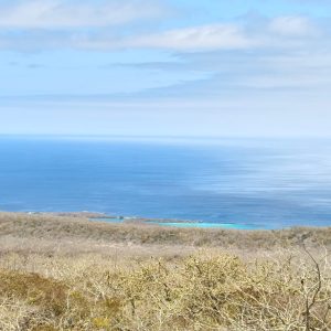 WhatsApp Image 2025-12-16 at 10.30