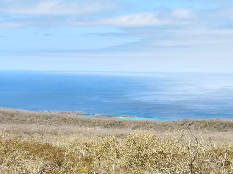 WhatsApp Image 2025-12-16 at 10.30