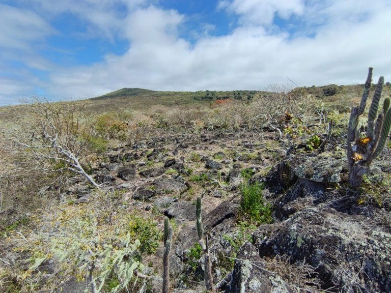 WhatsApp Image 2025-12-16 at 10.30