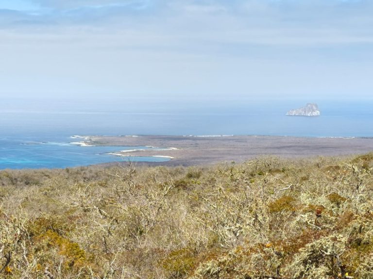 WhatsApp Image 2025-12-16 at 10.30