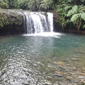 WhatsApp Image 2025-12-23 at 15.11